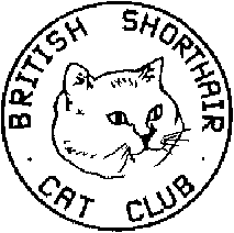 British Shorthair Cat Club