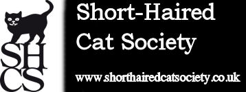 Shorthaired Cat Society